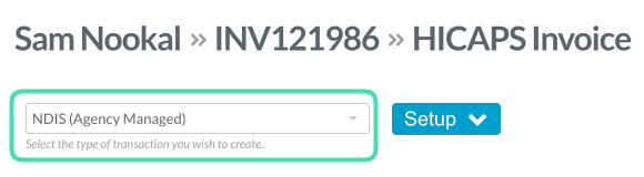 Step 3. Screenshot of NDIS Agency Managed claiming section within invoice