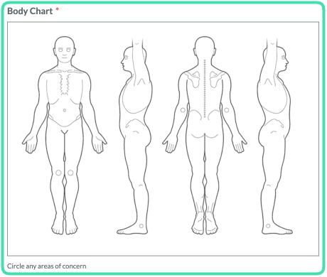 Chart-Preview.png