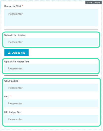 Client-Options-Details.png