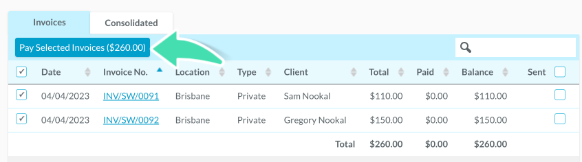 Pay-Selected-Invoices.png