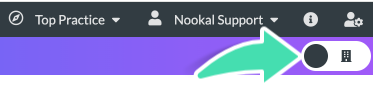 Toggle icon to switch between Location View and Practitioner View in Nookal Diary