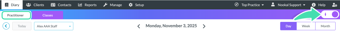 Practitioner-tab-diary.png