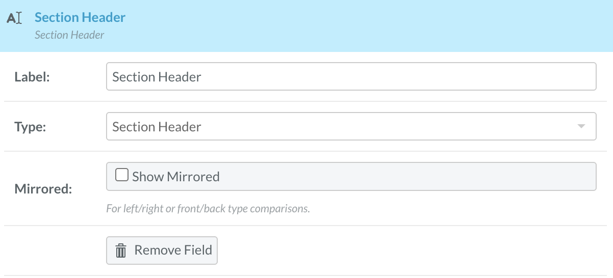 Section header layout within clinical template