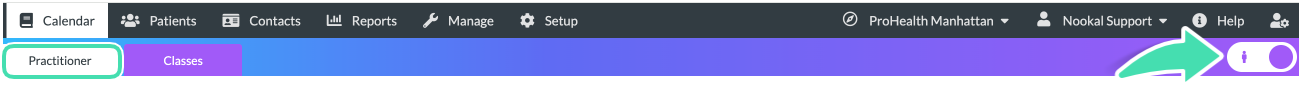 Nookal Calendar practitioner view toggle
