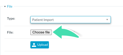 File upload button for selecting CSV import file