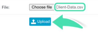 Uploaded file confirmation in data import workflow