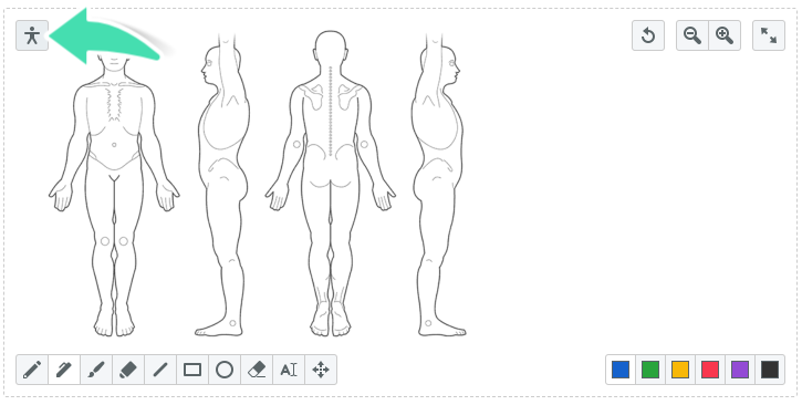Changing chart type within clinical notes in Nookal