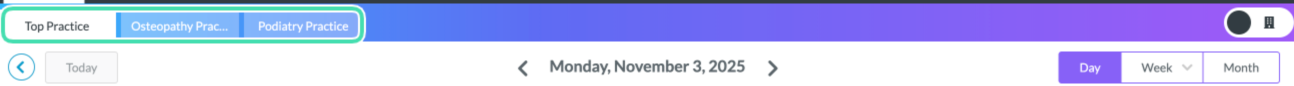 Toggle between location tabs in the Nookal Calendar view