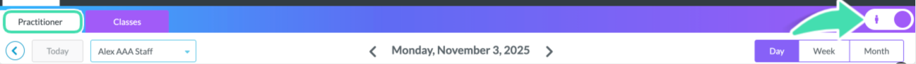 Practitioner Calendar view showing a single practitioner’s schedule