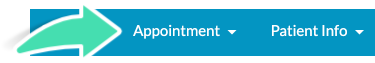 Click on the appointment heading in the booking window