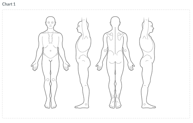 Chart field example in clinical notes