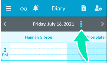 Mobile-Diary-Change-Date.png