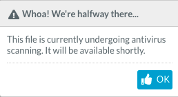 File-undergoing-scanning-antivirus.png