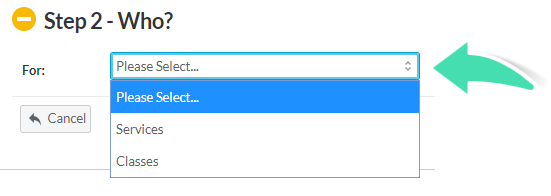 Campaign-Services-Classes.png