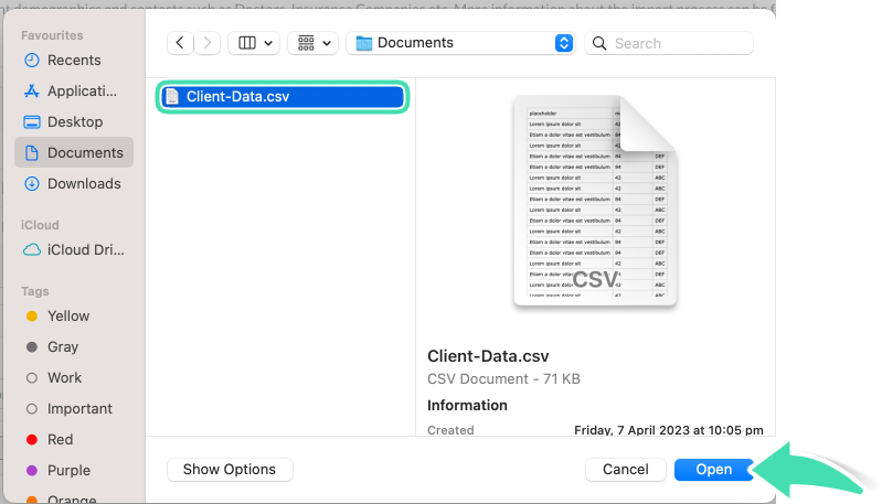 Client-Data-Example.png