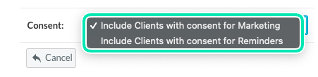 Step2BulkMessagesConsent.png