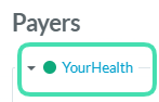 Client_Case_Payer-1.png