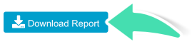 Download-Report-Bulk-Invoicing.png