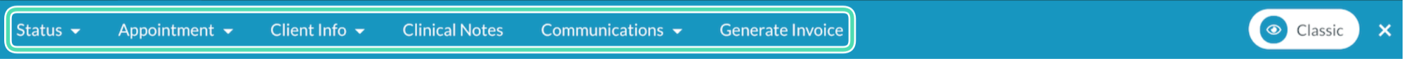 classic-view-top-bar.png