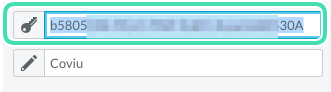 Highlight-copy-api-key.png